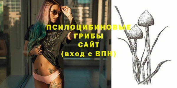 тгк Абинск