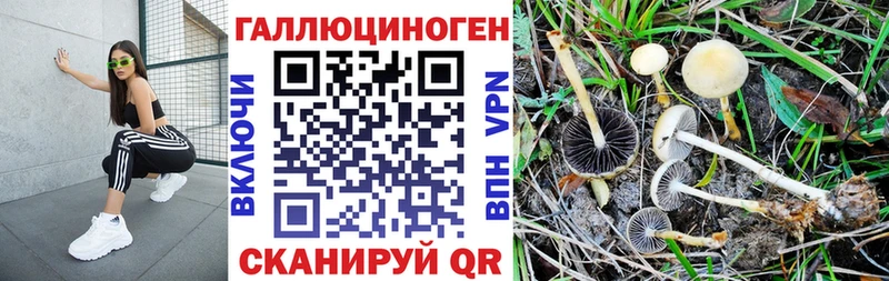 Галлюциногенные грибы прущие грибы  KRAKEN ТОР  Балахна  где купить  